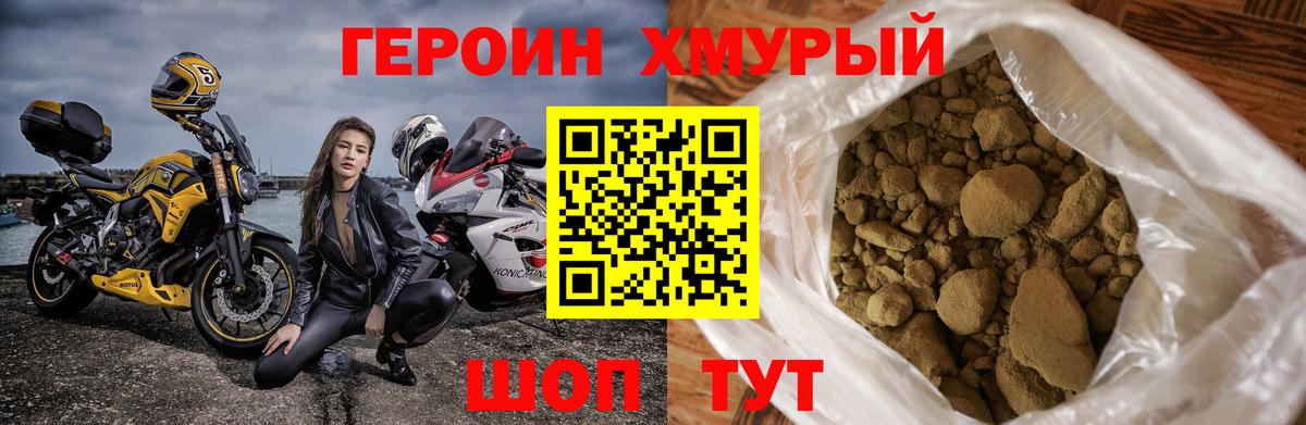 ГЕРОИН хмурый  Спасск-Дальний 