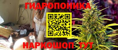 стаф Гусиноозёрск