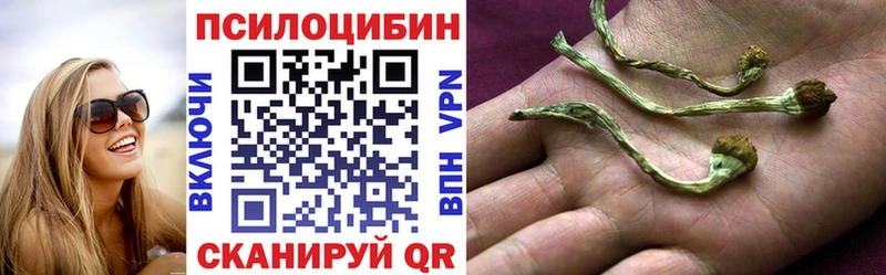 купить наркоту  MEGA tor  Псилоцибиновые грибы мицелий  Спасск-Дальний 