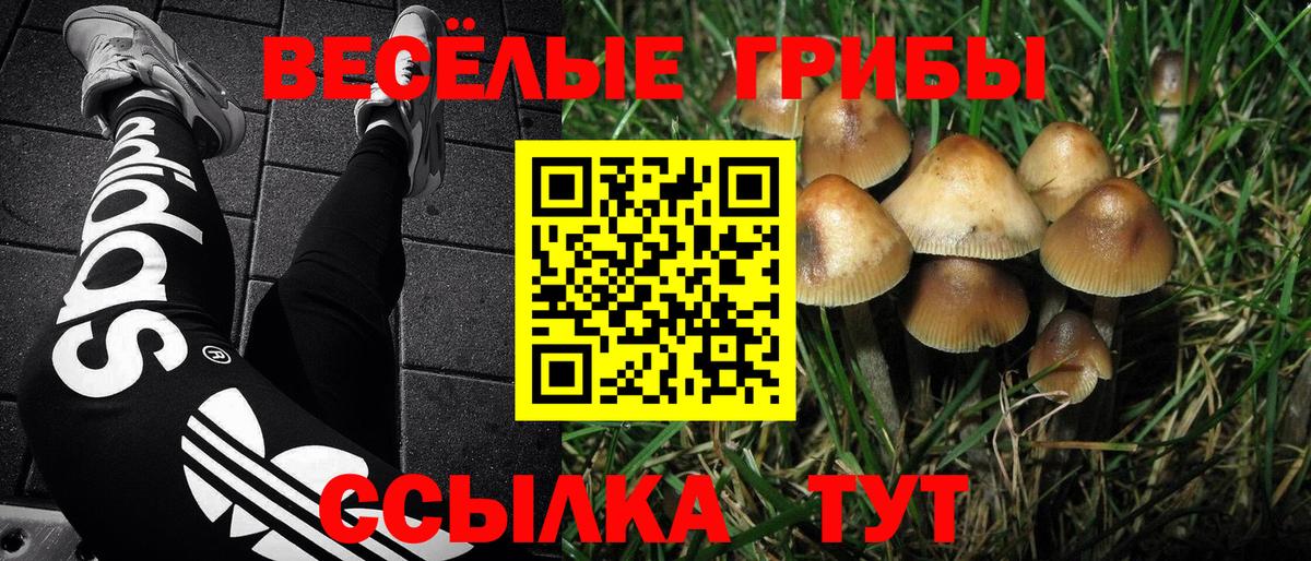 Спасск-Дальний  Галлюциногенные грибы MAGIC MUSHROOMS  Вход с VPN 