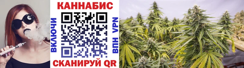 где продают   Спасск-Дальний  Шишки марихуана SATIVA & INDICA 